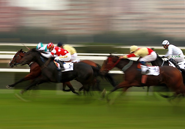 Betting Discipline